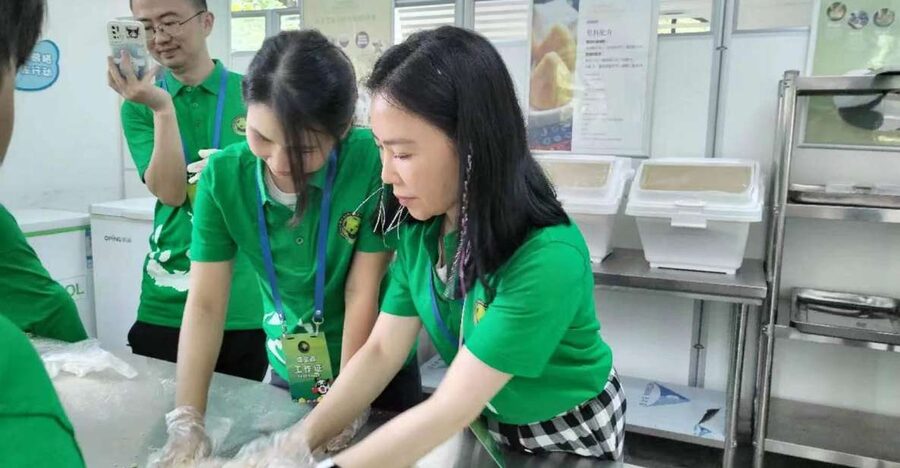 Sichuan: Big Panda Volunteer Day tour - Who This Tour Suits Best (And Who Should Consider Another Option)