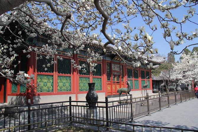 Summer Palace Ticket with optional Guided Tour - Ticket vs Guided Tour: What You Gain for $8