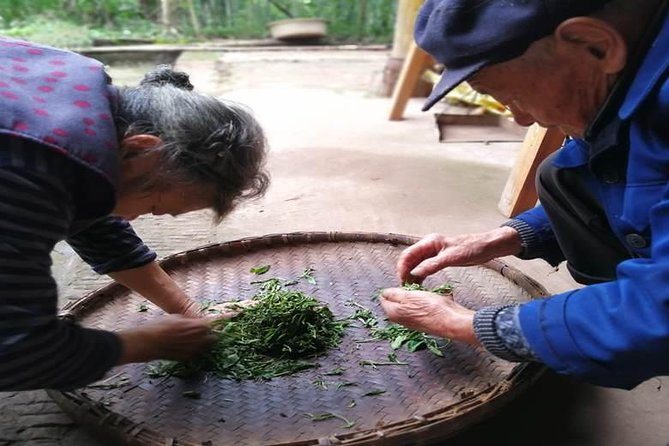 Tea Village in lost Town and Buddha 1 day tour - Tea tasting and lunch: what to expect beyond the photos