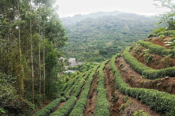 Tea Village in lost Town and Buddha 1 day tour - From the water: the Buddha boat trip (and why it matters)