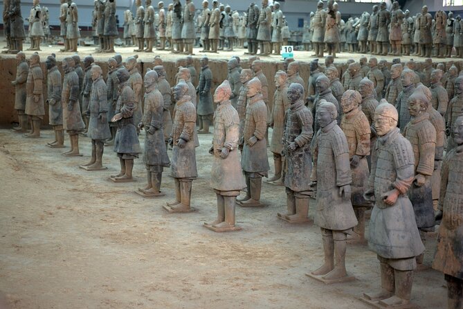 Terra-cotta Warriors Entrance Ticket with Optional Guided Service - Prebooking the Terra-cotta Warriors: the real value