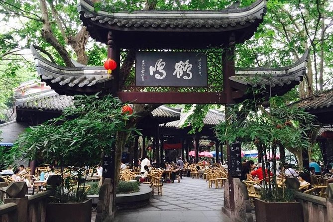 Ticket reservation for Chengdu Giant Panda Breeding Base - Price and value: why $15 makes sense here