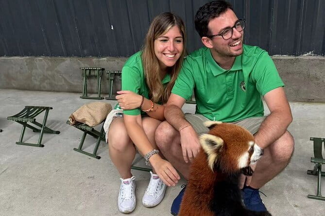 Unique One-Day Tour: Interactive Experience with Red Pandas - Key Things You’ll Notice on This Panda Day