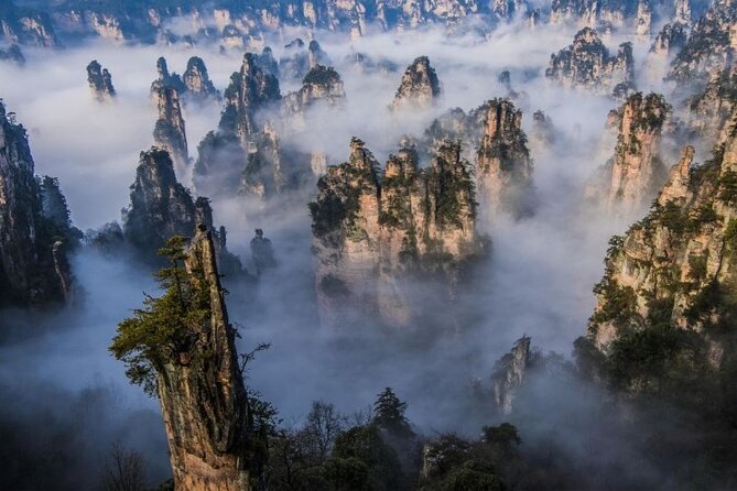 VIP Mini Group:Avatar Mountains & Tianmen Mountain & Glass Bridge - Wulingyuan Scenic Area and Tianzi Mountain, Emperor Views Inside the UNESCO Zone