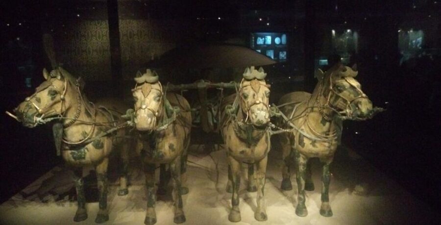 Xi'an: Half-Day Terracotta Warriors & Horses Museum Tour - Who should book this tour?