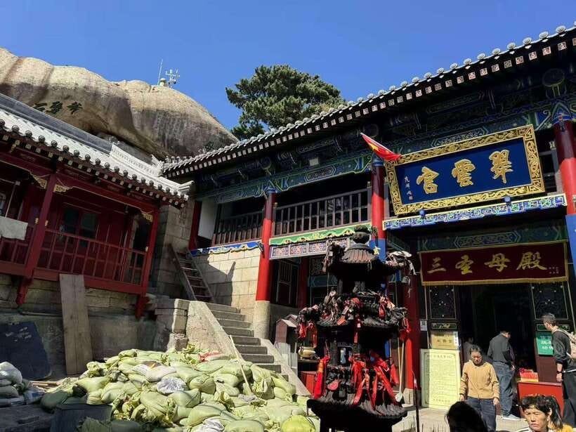 Xi'an: Hua Shan Mountain Private day Tour - Who This Tour Suits Best