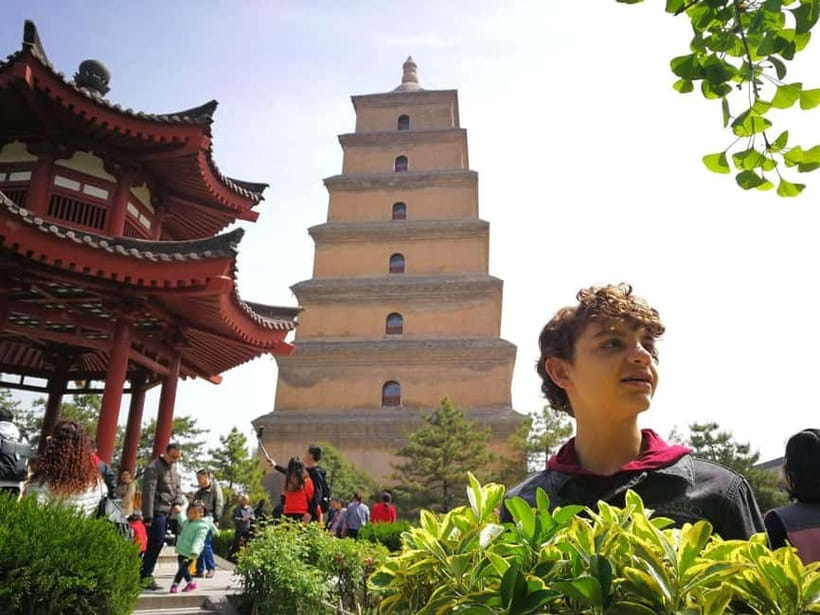 Xi'an: In-Depth City Tour with Choice of Duration - Small Wild Goose Pagoda and Xian Museum for a calmer, culture-forward day