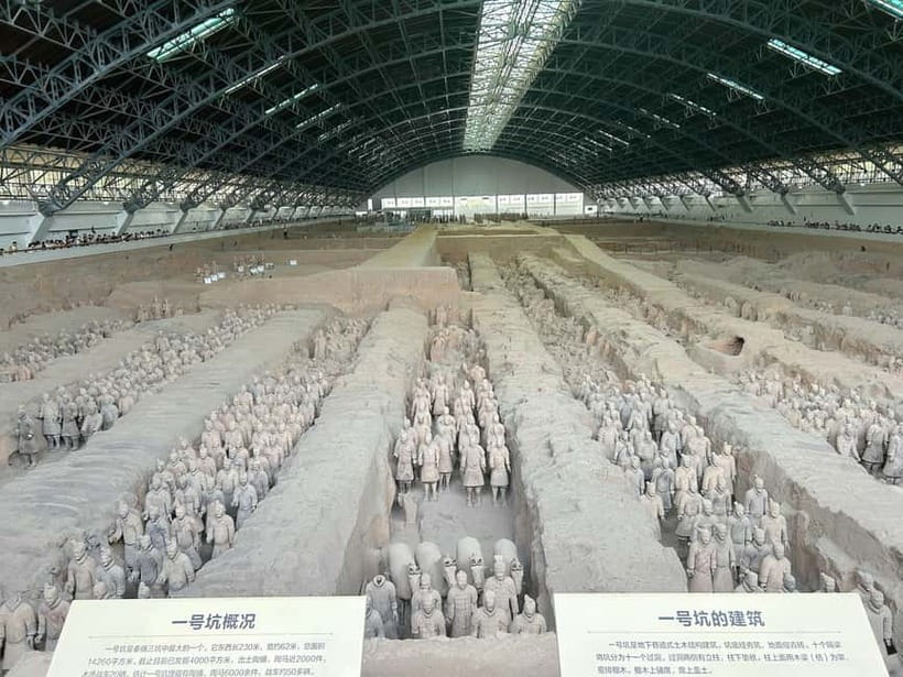 Xi'an: Morning Terracotta Army Tour with Local Family Lunch - From Your Hotel to the UNESCO Site: How Pickup Works and What to Bring