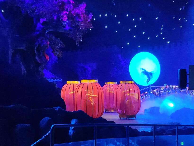 Xi'an Silk Road: Legend of Camel Bell Show Ticket w/Transfer - VIP Seats, Revolving Stages, and the Real Animal Factor