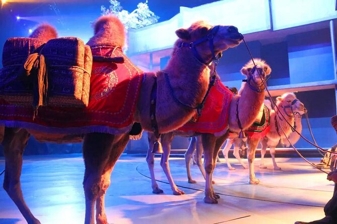 Xi'an Silk Road: Legend of Camel Bell Show Ticket with Transfer - Key things to know before you go