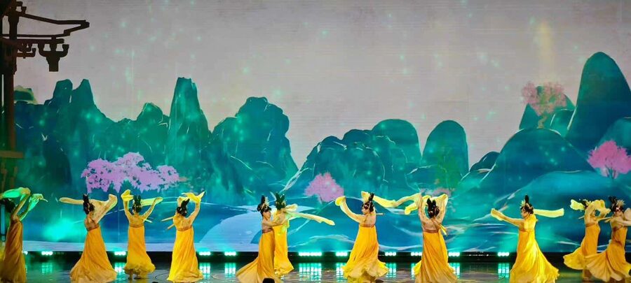 Xi'an: Tang Dynasty Music and Dance Show with Round Trip Transfer - Driver support and language: smooth comms make a real difference