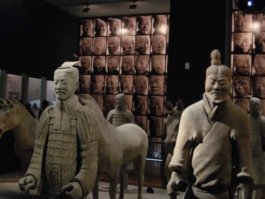 Xi'an: Terra-Cotta Warriors Entry with Optional Guide - The Most Praised Parts: Organization and a Guide That Makes It Click