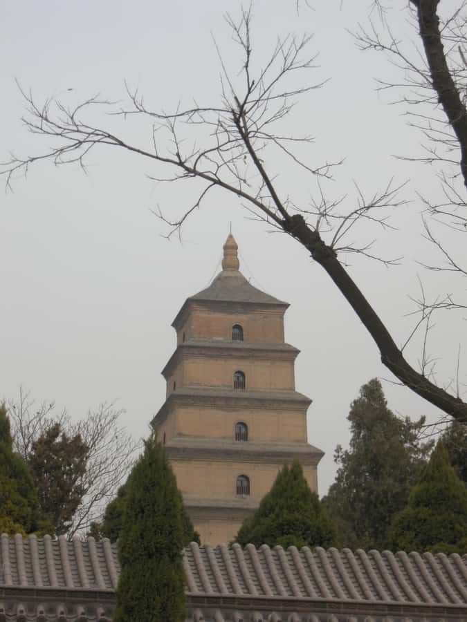 Xi'an: Terra-Cotta Warriors Entry with Optional Guide - Your Best Entry Options: Guided vs Self-Guided Time
