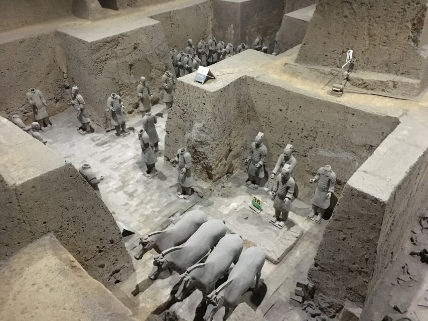 Xi'an:Terracotta Army Museum Walking Tour with Entry Tickets - Choosing your pace: 2 hours vs half-day options