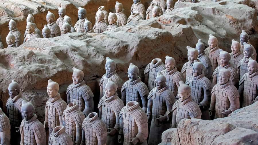 Xian: Bus Tour of Terracotta Warriors With Guide & Lunch - Who this Xian Terracotta Warriors bus tour is best for