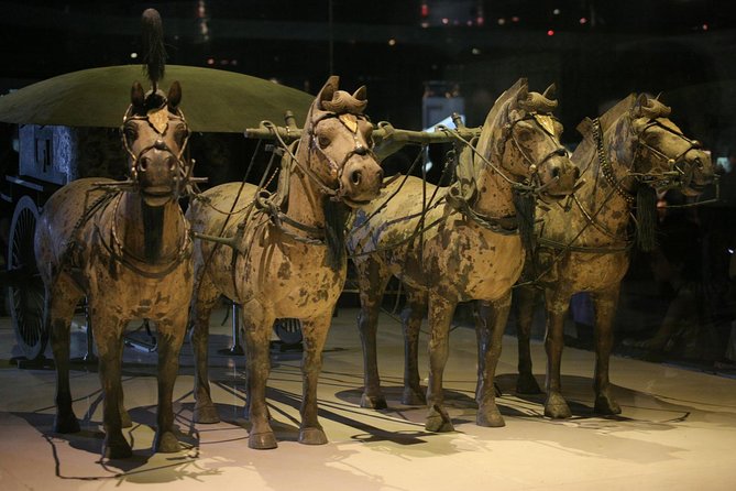 Xian Day Tour to Terracotta Warriors from Beijing, with City Wall - Private guide and driver quality: the human factor that makes this run smoothly