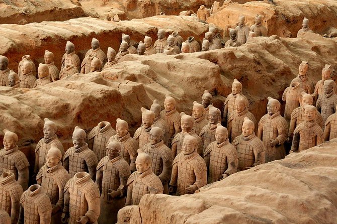 Xian Group Tour: Terracotta Army, Big Wild Goose Pagoda,City Wall - City Wall stroll: best time to walk and what to expect