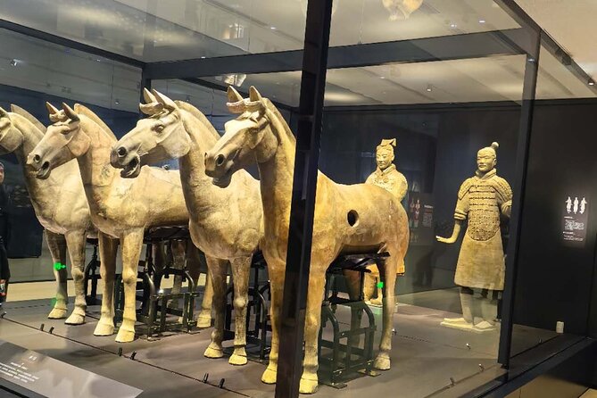 ZANBUS: Xi'an Qin Terra-cotta Warriors Bus Tour Departs at 8/9 AM - Getting set up with ZANBUS: start times and how the day flows
