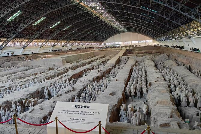 ZANBUS: Xi'an Qin Terra-cotta Warriors Bus Tour Departs at 8/9 AM - Comfort, group size, and why it affects your day