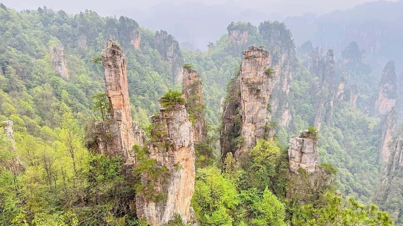 Zhangjiajie: National Forest Park 1-Day VIP Private Tour - VIP Entry In Zhangjiajie, Why It Matters So Much