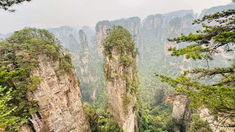 Zhangjiajie: National Forest Park 1-Day VIP Private Tour - Yuanjiajie: The Photo Stops That Start the Awe