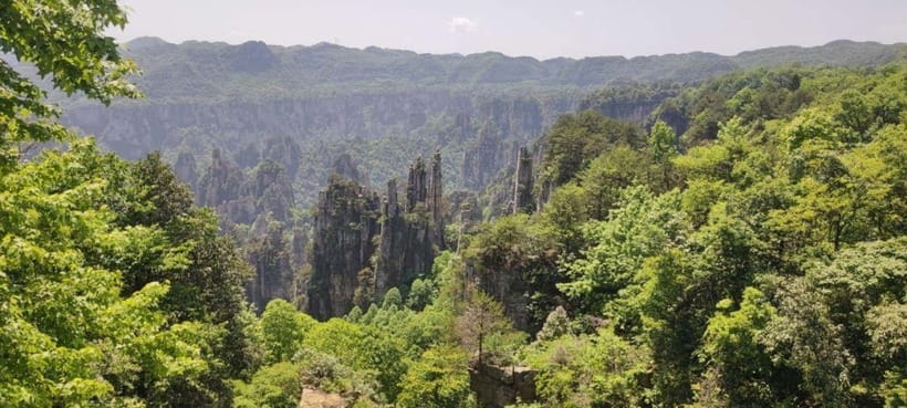 Zhangjiajie: National Forest Park 1-Day VIP Private Tour - Getting Picked Up, Then Getting Back, Without Stress