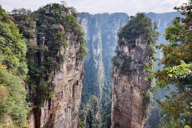 Zhangjiajie National Forest Park Admission Ticket - Key Things to Know Before You Buy