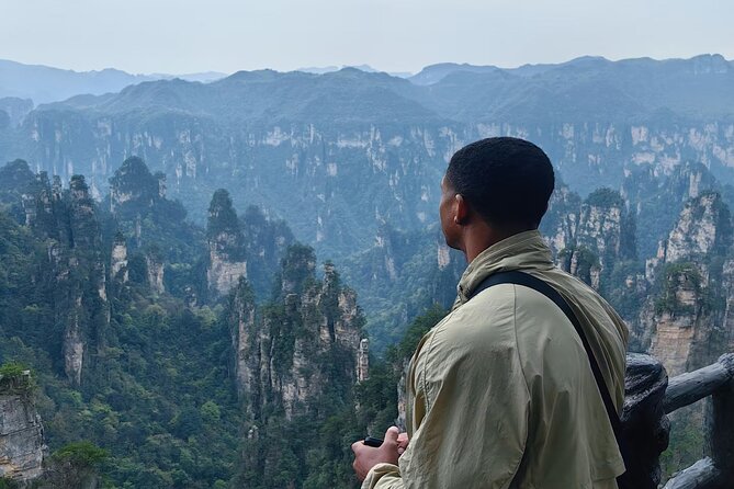 Zhangjiajie National Forest Park Entrance Ticket - Who This Works Best For