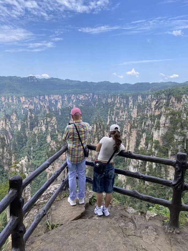 Zhangjiajie National Forest Park: Private Tour and Transport - Key Highlights That Make This Tour Work