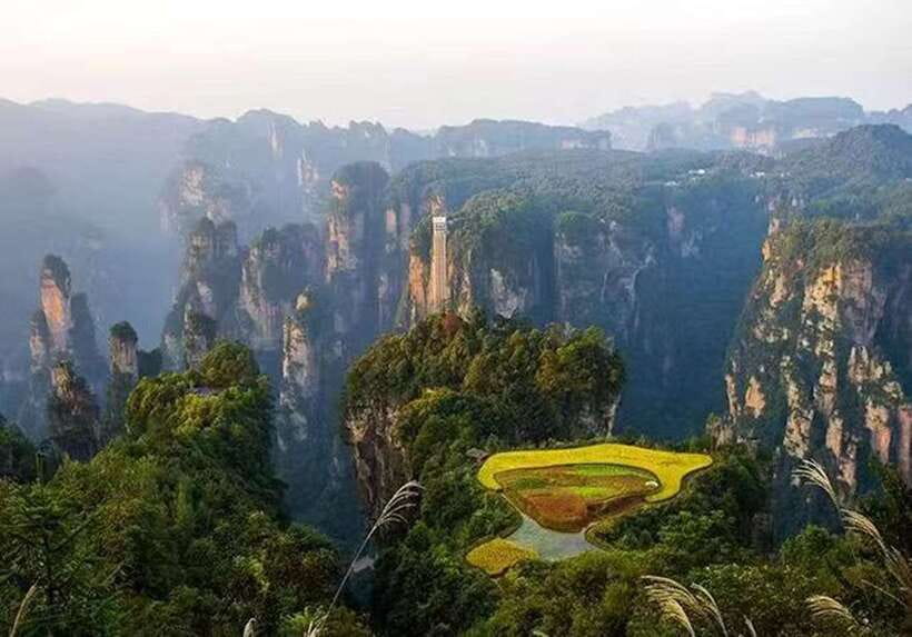 Zhangjiajie National Forest Park: Private Tour and Transport - A Morning Into Wulingyuan’s Sandstone World