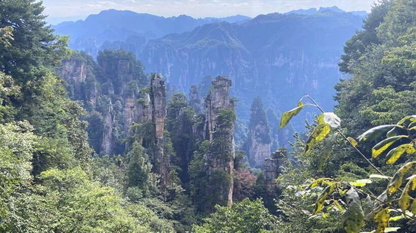 Zhangjiajie National Forest Park: Private Tour and Transport - Tianzi Mountain: Cloud Sea Views and Helong Park Stop