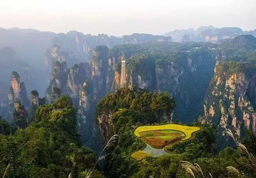 Zhangjiajie National Forest Park: Private Tour and Transport - Guides Make It, and You Can Feel It in the Details