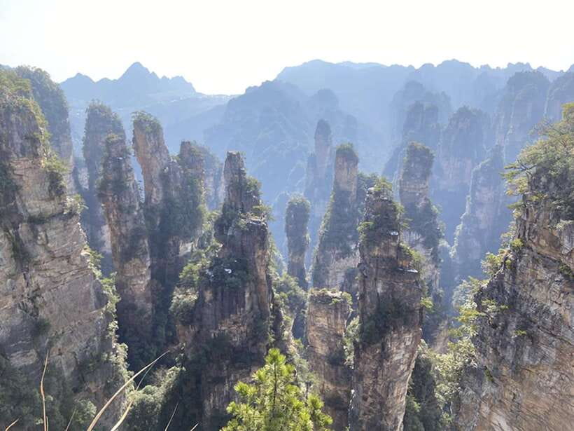 Zhangjiajie National Forest Park: Private Tour and Transport - Price and Logistics: Is $229 Worth It?