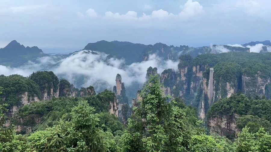Zhangjiajie National Park: 2-Day Guided Tour w/ Glass Bridge - The Guide Makes a Real Difference, and You’ll See It in the Details