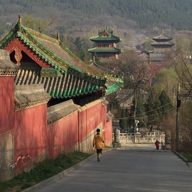 Zhengzhou: Private Tour to Shaolin Temple & Longmen Grottoes - Shaolin Temple: Mount Song, Zen roots, and the Pagoda Forest