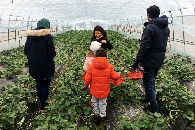 Zhujiajiao Water Town Private Tour with Local Farm Visit and Fruit Picking - Price and Value: What $170 Per Person Includes (And What It Doesn’t)